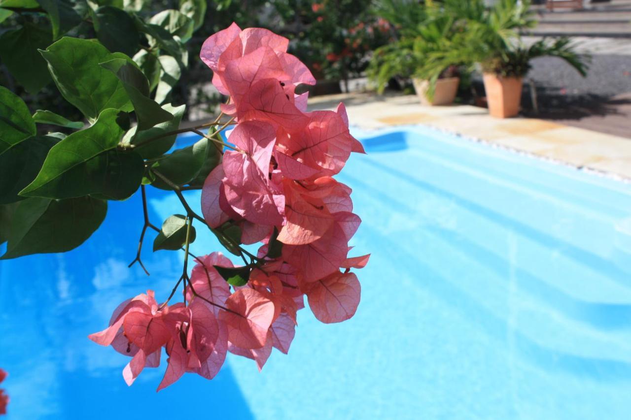 Roi Holiday Stay Grand Bay Buitenkant foto