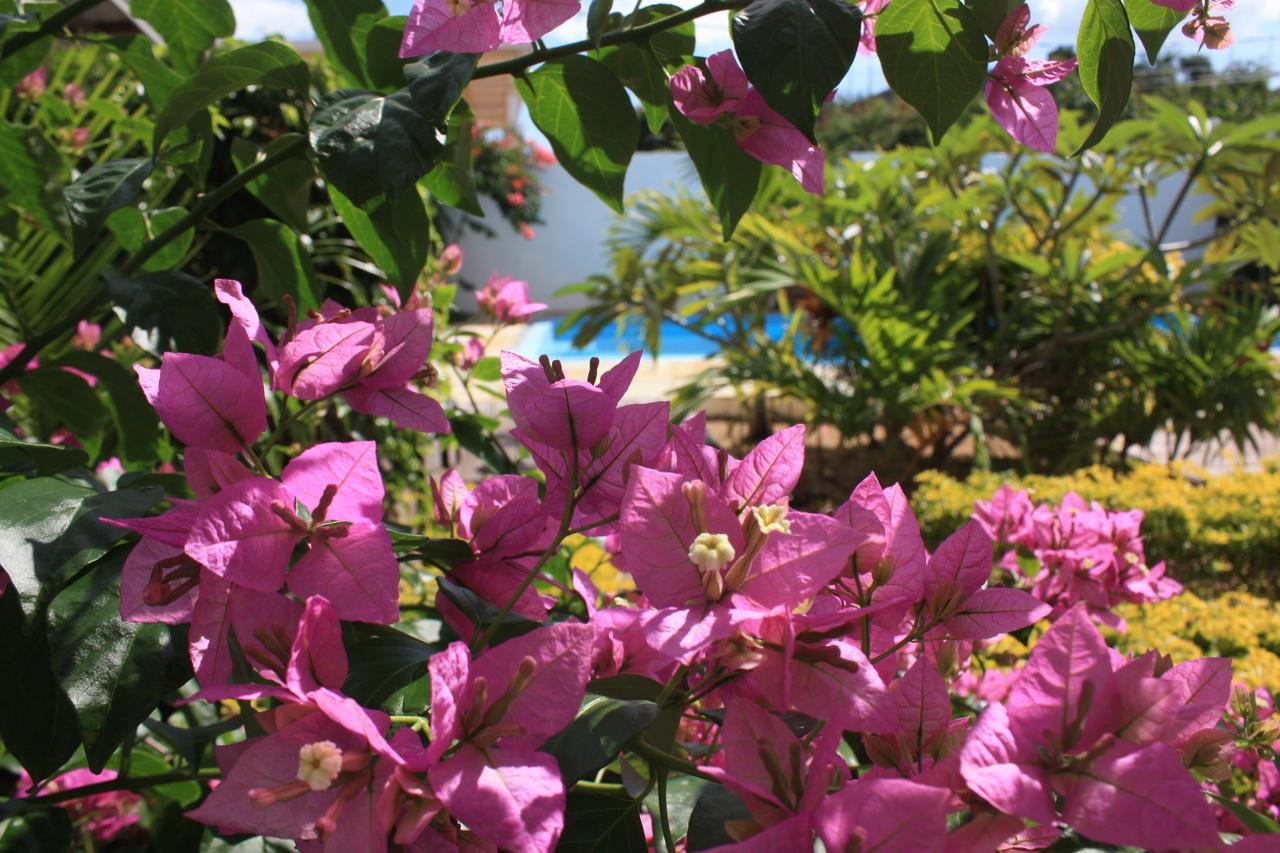 Roi Holiday Stay Grand Bay Buitenkant foto